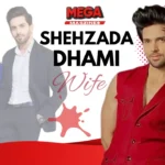 shehzada dhami wife